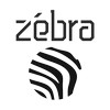 Zebra - видео